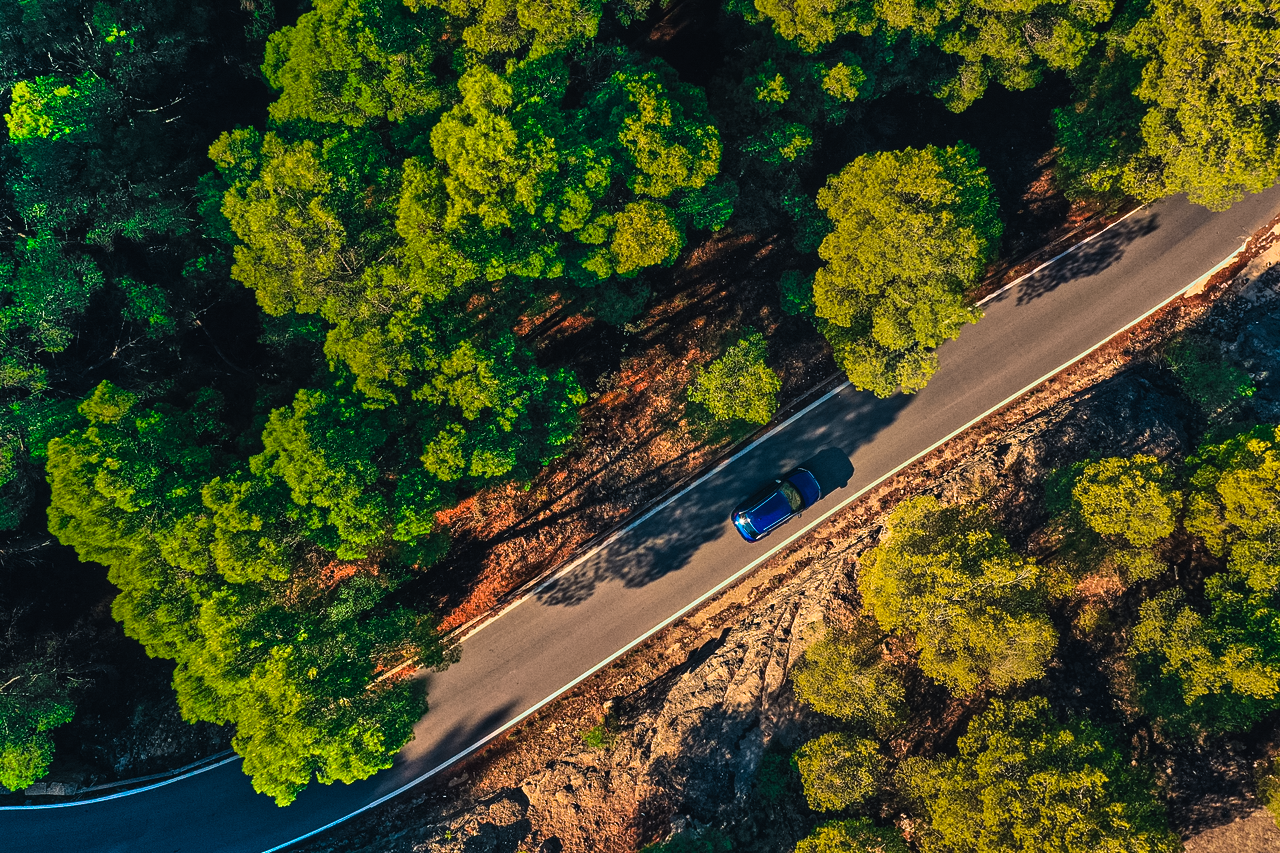 lonesome car in wood